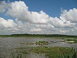 RSPB Minsmere, looking west over the scrape