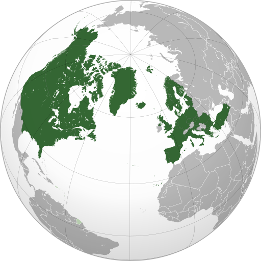 File:NATO (Orthographic Projection).svg