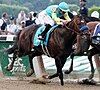 Paynter at the 2012 Belmont Stakes