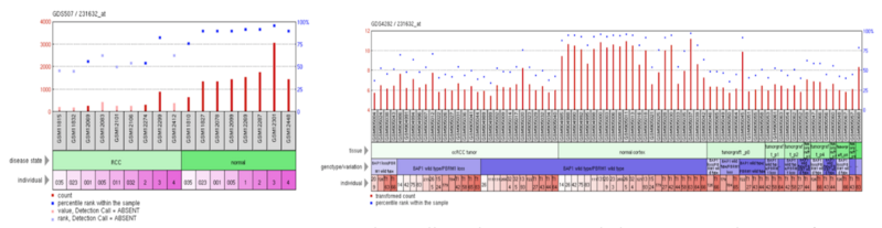 File:Renal ERICH4.png