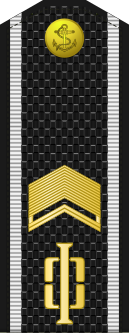 File:Russia-Navy-OR-8-1994-everyday.svg