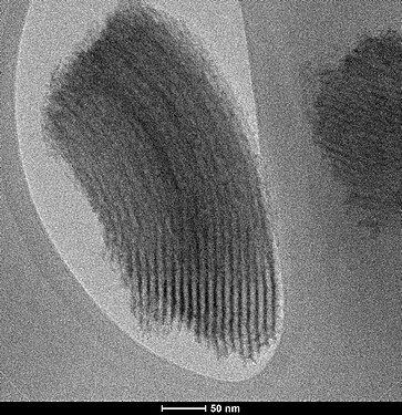 TEM of a typical SBA-15 sample[10]