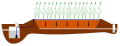 Vertical Flow Reedbed