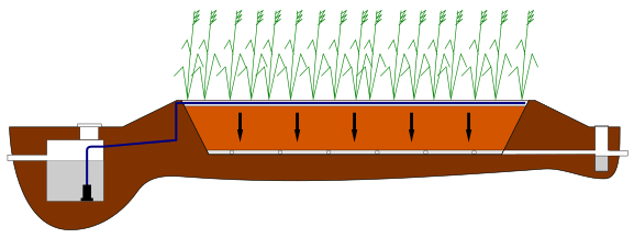 File:Vertical Flow Reedbed.svg