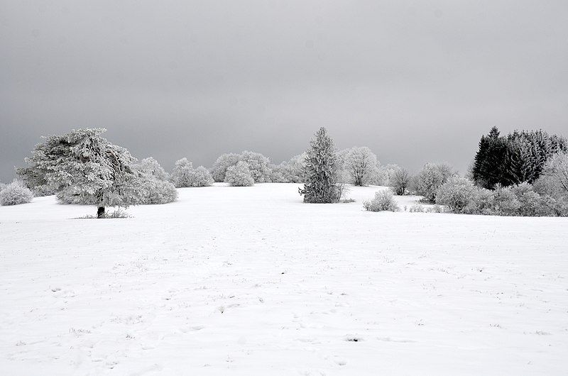 File:Winterlandschaft 2021.jpg