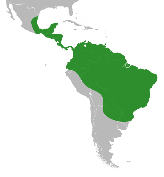 File:Xanthosoma distribution.svg