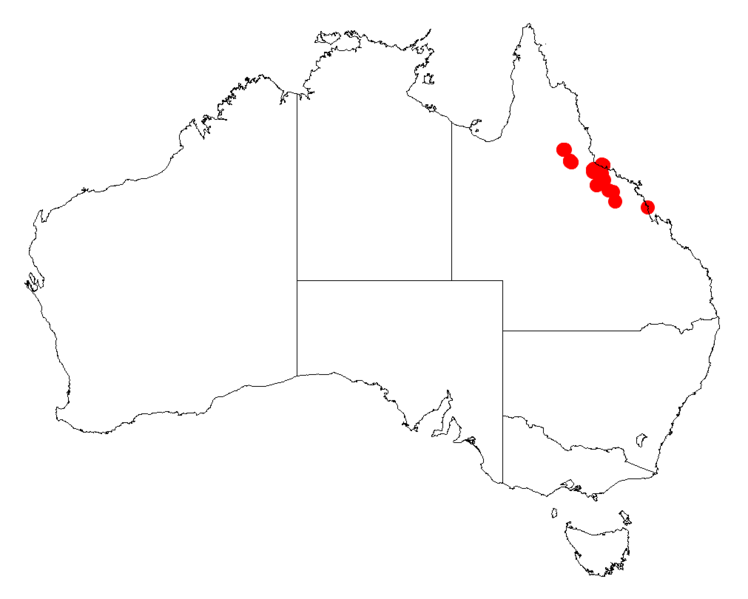 File:Acacia jackesianaDistMap476.png