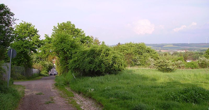 File:Anhoehe Tennisclub Eisenberg.jpg