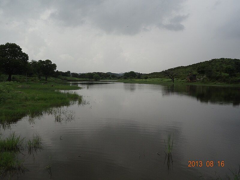 File:Arvari River.jpg