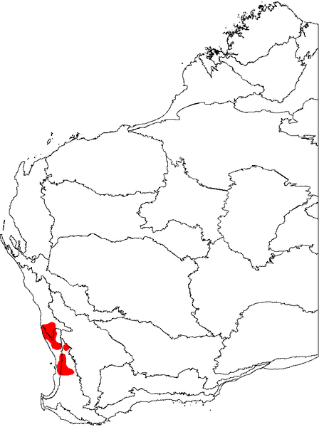 File:Banksia telmatiaea map.png