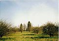 A picture I took of a park in the village of Brackley, Northamptonshire, UK in 2004.