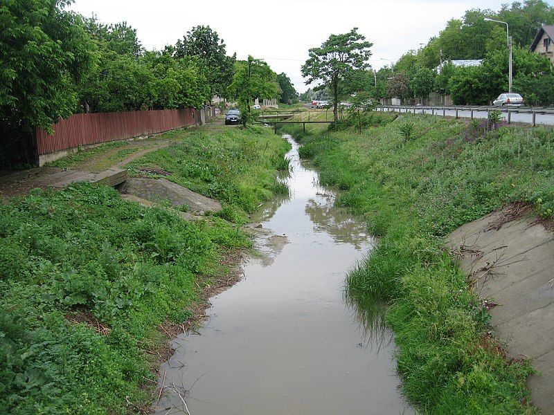 File:Cacaina River.jpg