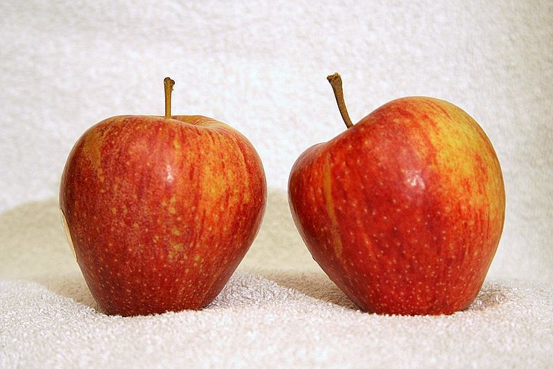 File:Cameo apple.jpg