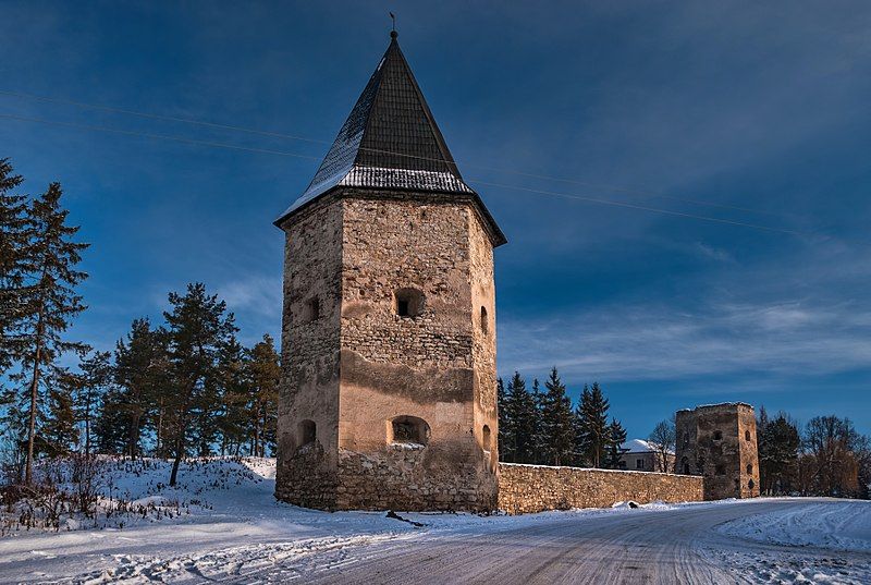 File:Castle in Kryvche.jpg