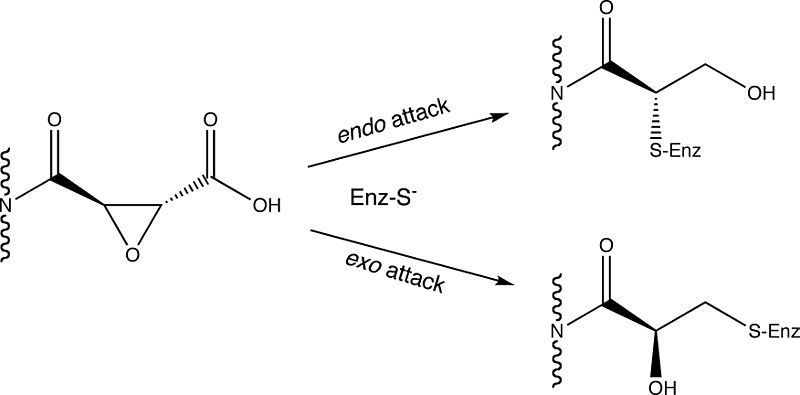 File:E-64mech.jpg