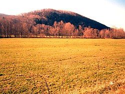 Countryside in eastern Rupert