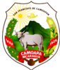 Coat of arms of Camoapa