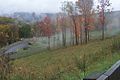 A view from above the Great Allegheny Passage