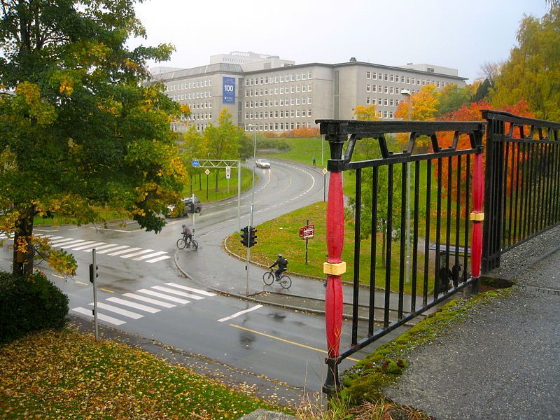 File:Høyskolebrua-rekkverk.JPG