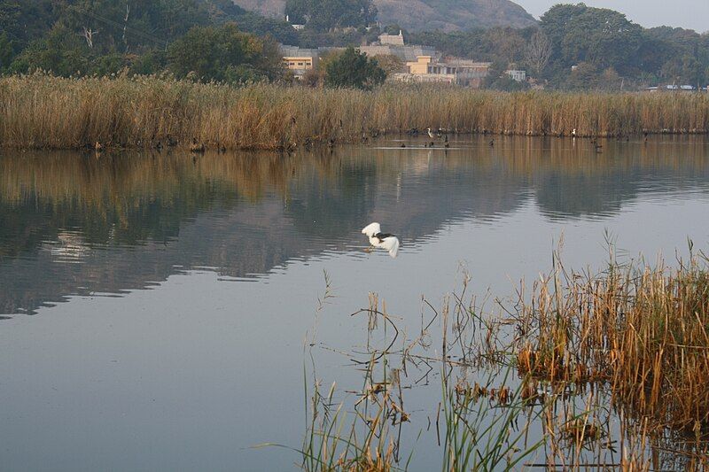 File:Lake Kalar Kahaar.jpg