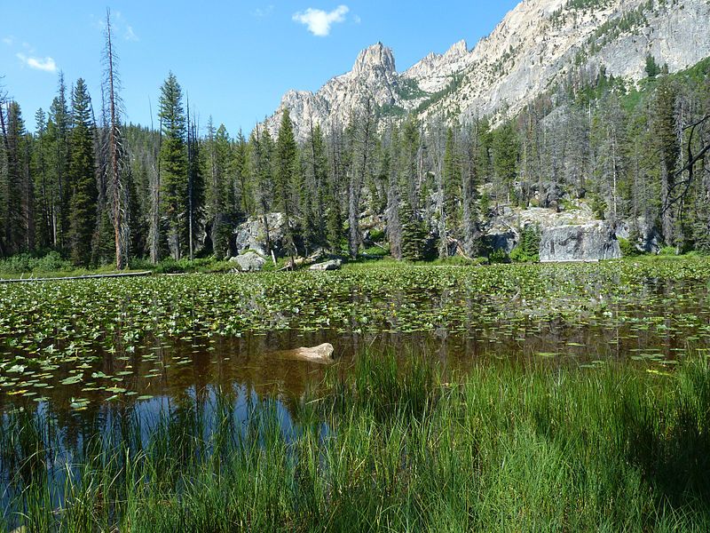 File:Lily Lake (15058092162).jpg