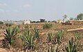 Traditional graves near Mahaboboka