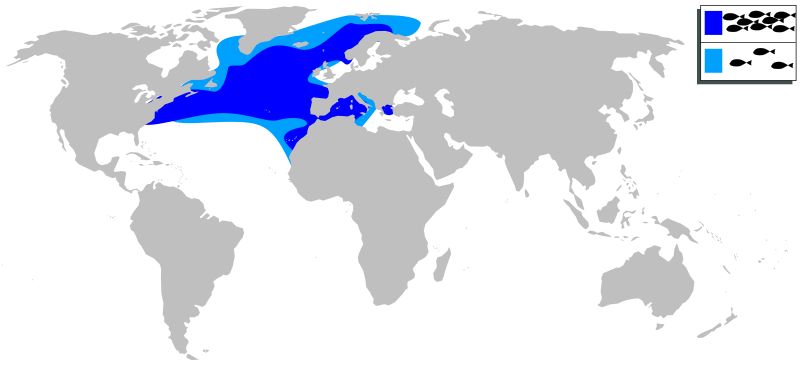 File:Micromesistius poutassou mapa.svg