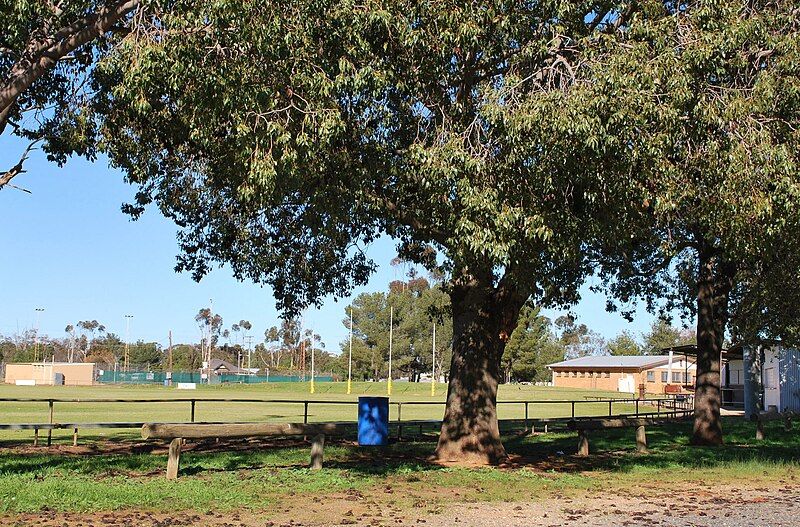 File:OaklandsFootballGround1.JPG