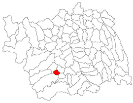 Location in Bacău County