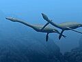 Plesiosaurus, Germany, Europe