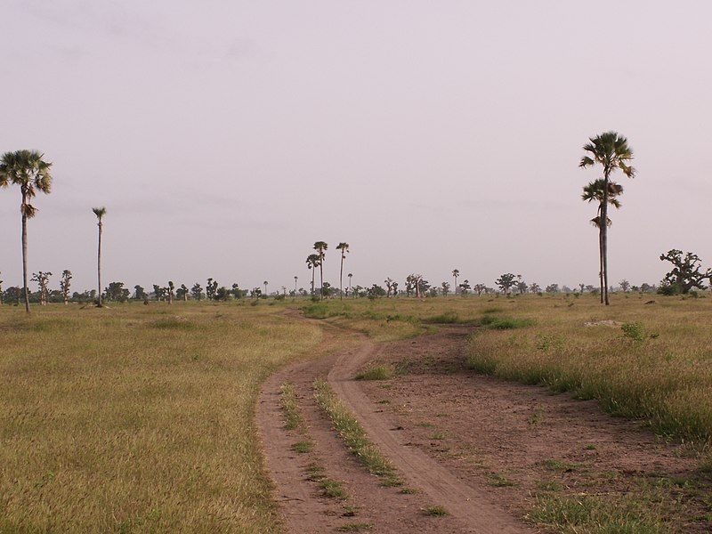 File:Senegalesesavanna.jpg