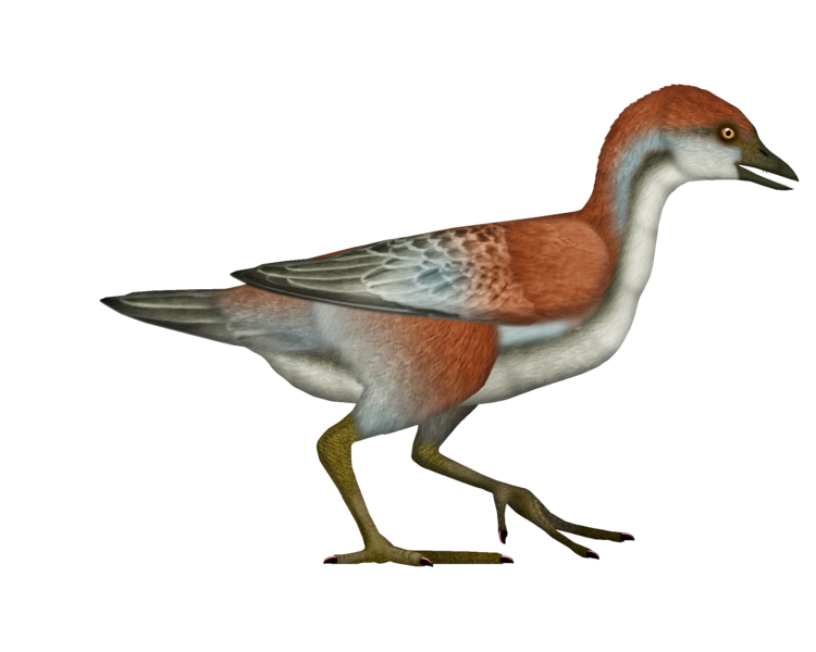 File:Shuilingornis UDL.png