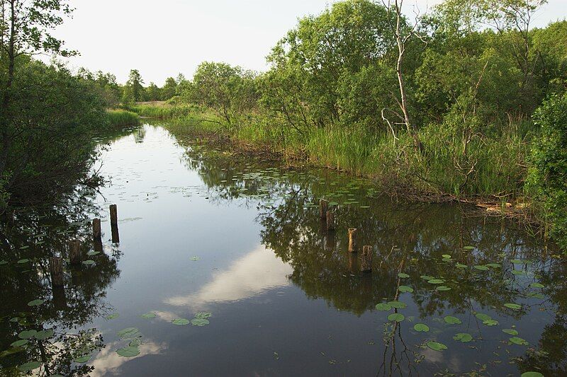 File:Soodla river.jpg