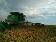 Harvesting sorghum in Oklahoma, USA, with a combine harvester