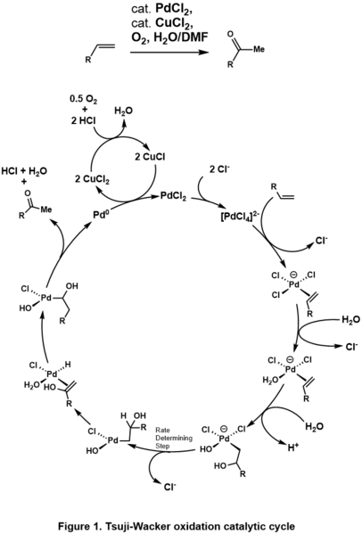 File:TW Cycle.tif