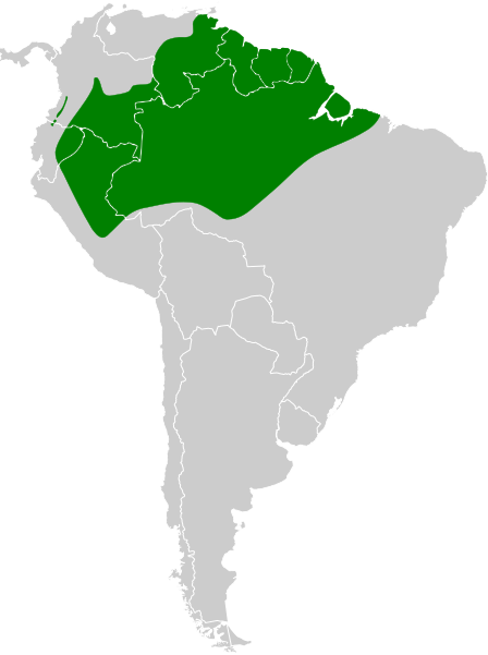 File:Tachyphonus surinamus map.svg