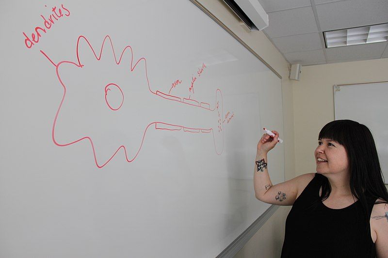 File:Teaching Neuroscience.jpg