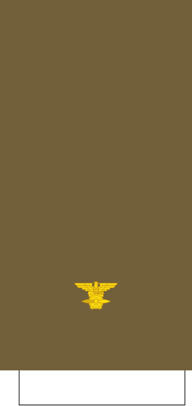 File:Tiwan-AirForce-OF-1a (1928).svg