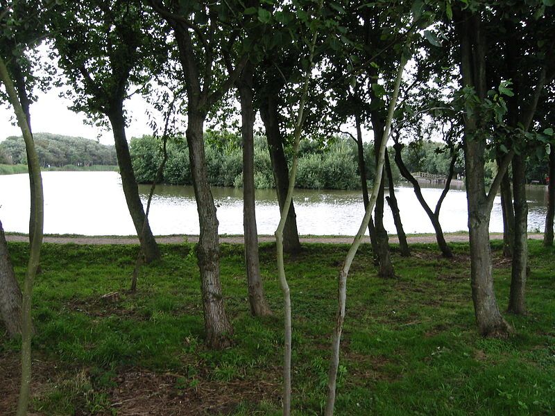 File:Wenningstedt town pond.jpg