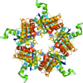 Just search for pentamer... From PDB: 1T0T​.