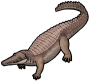 Eutretauranosuchus delfsi