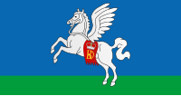 File:Flag of Słucak.svg