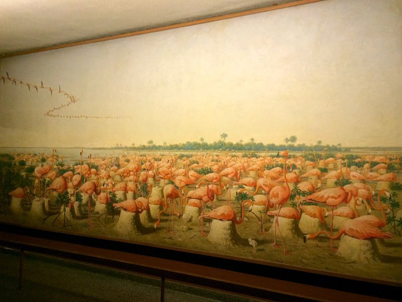 File:Fuertes Flamingo Mural.JPG