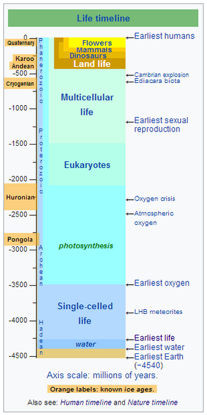 File:LifeTimeline-TemplateImage-20170822.png