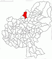 Location in Mureș County