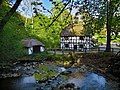 At Skovmøllen water mill in Moesgård Forest