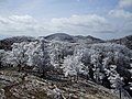 Mount Myōjin from Mount Hinokizuka Okumine (03/2009)