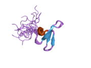 1wr7: Solution structure of the third WW domain of Nedd4-2