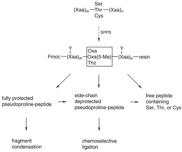 File:PPro-strategies.jpg