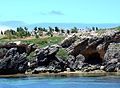 Pelican colony and caves